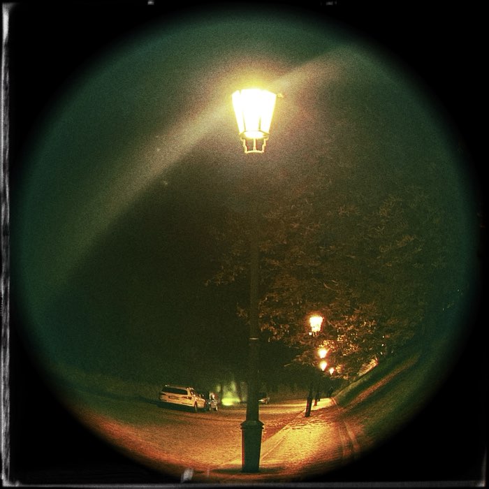 Photograph by @gale, shot with Fynn 8mm + Old Faithful + Leprechaun Tears Gel