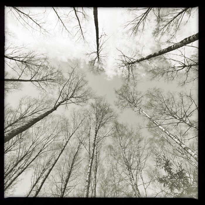 Photograph by @anvor, shot with Lucas + Yuanzi 12 + Claunch 72