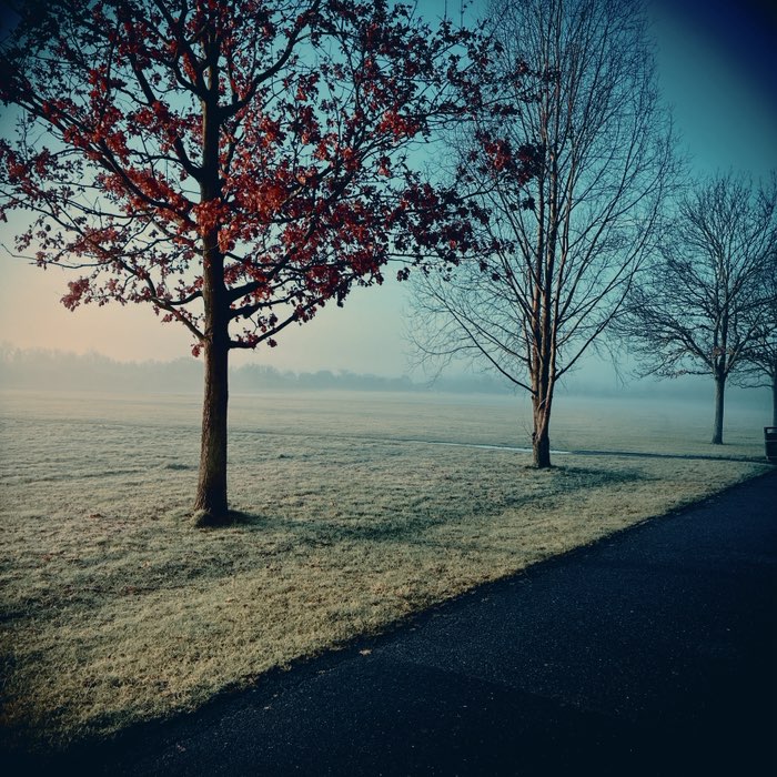 Photograph by @carl303, shot with Hekla + Djamma