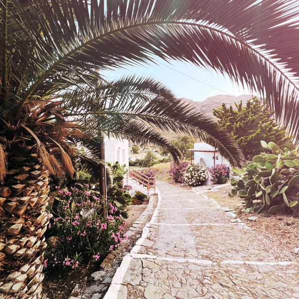 A photograph shot with the Aegina combo