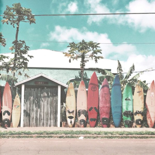 A photograph shot with the Aloha combo