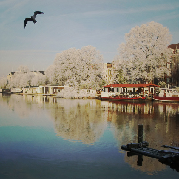 A photograph shot with the Jordaan combo