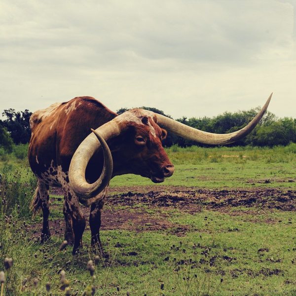 A photograph shot with the East Austin combo