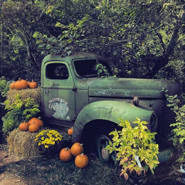 A photograph shot with the East Austin combo