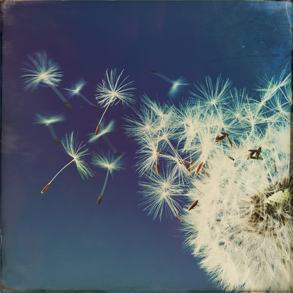 A photograph shot with the Brighton combo