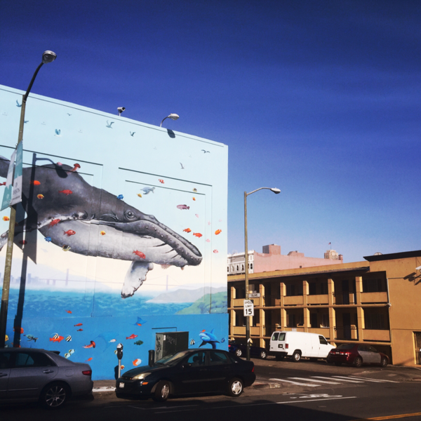 A photograph shot with the Brisbane combo
