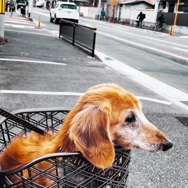 A photograph shot with the Gastown combo