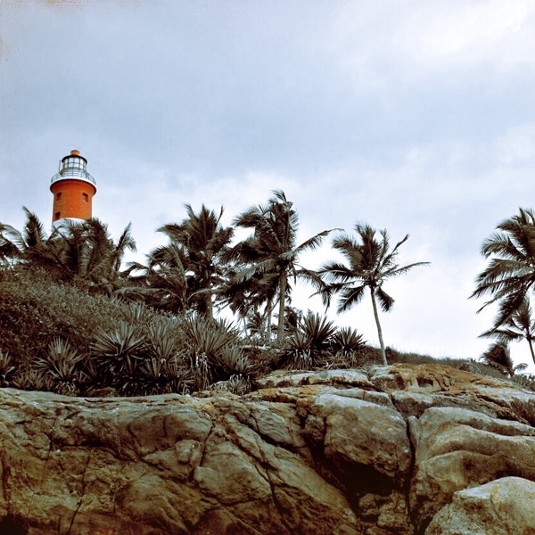 A photograph shot with the Goa combo