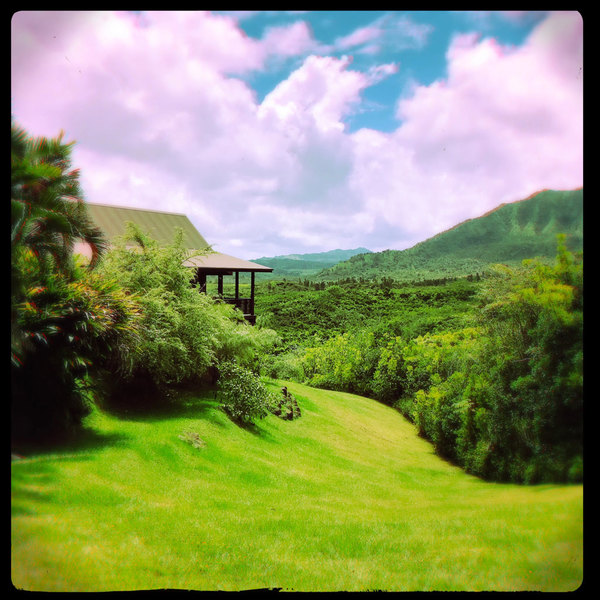 A photograph shot with the Hanalei combo