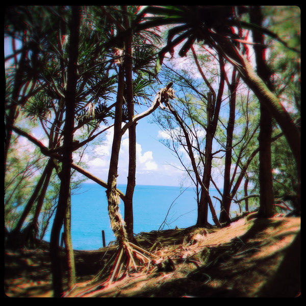 A photograph shot with the Hanalei combo