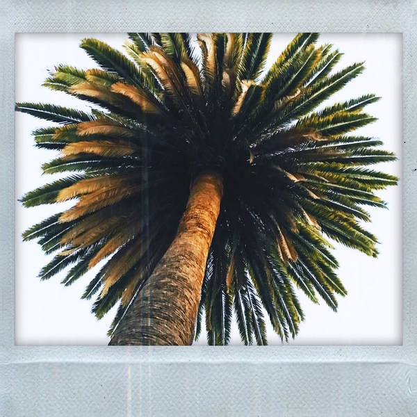 A photograph shot with the Highland Park combo