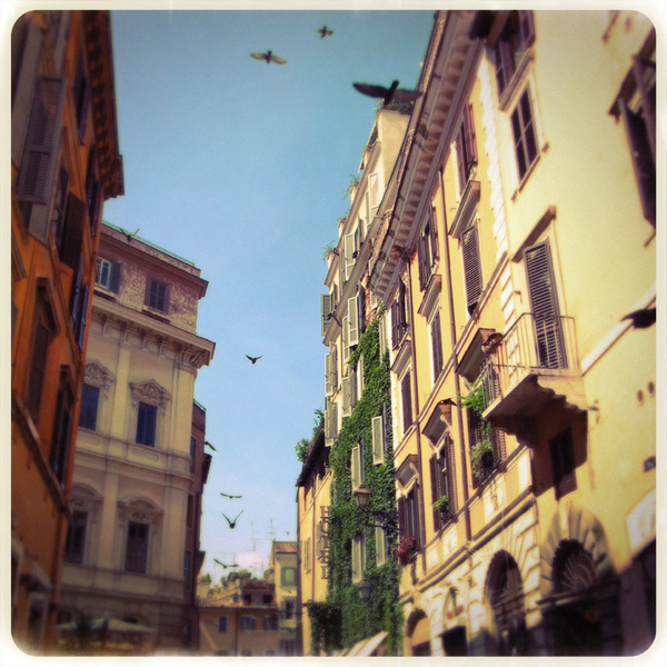 A photograph shot with the Monti combo