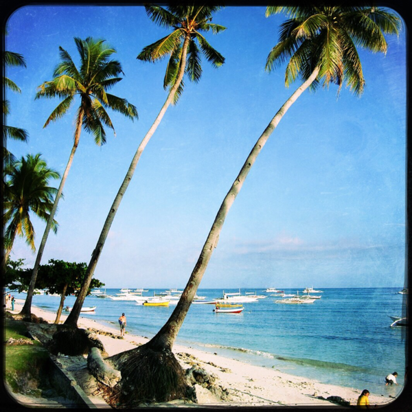 A photograph shot with the Jamaica combo