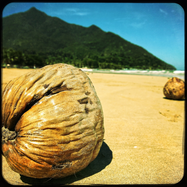 A photograph shot with the Jamaica combo
