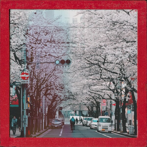 A photograph shot with the Jimbocho combo