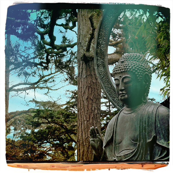 A photograph shot with the Kyoto combo