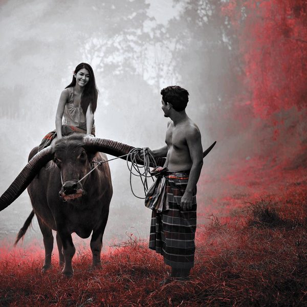 A photograph shot with the Laos combo