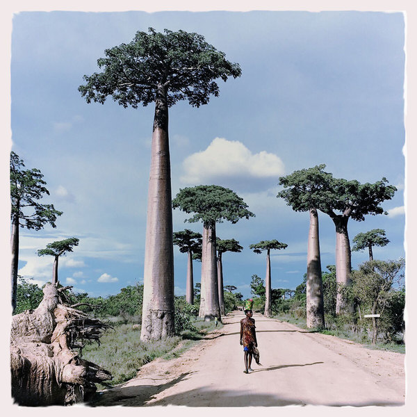 A photograph shot with the Madagascar combo