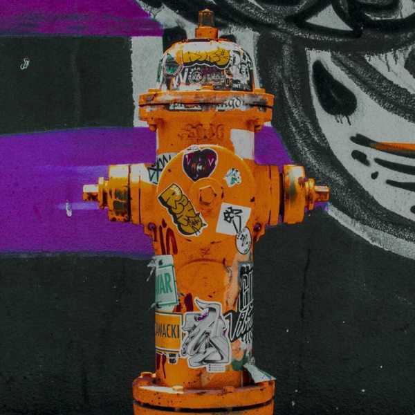 A photograph shot with the Wynwood combo
