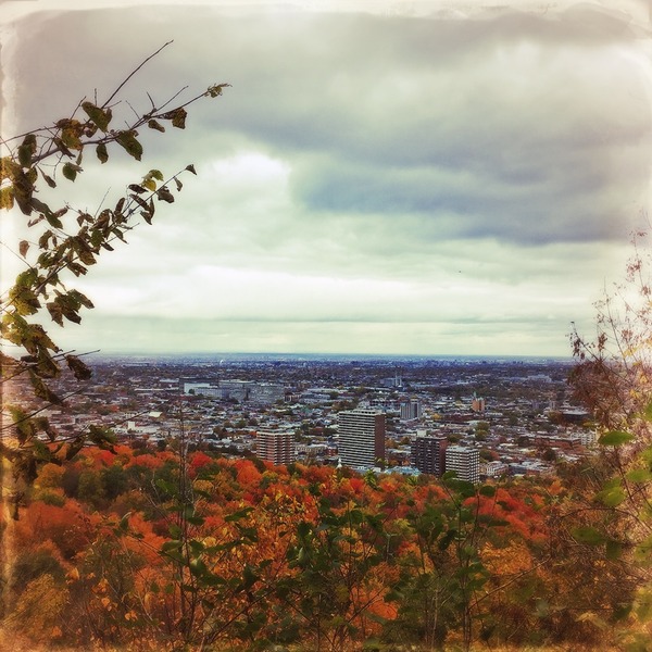 A photograph shot with the Montréal combo