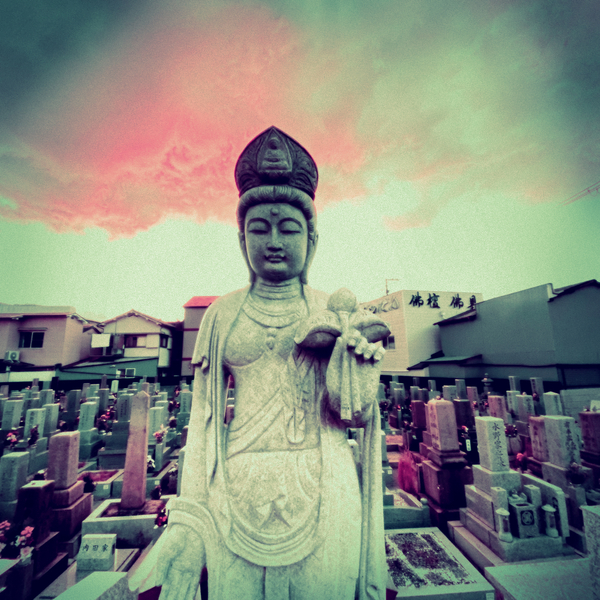 A photograph shot with the Nakazakicho combo