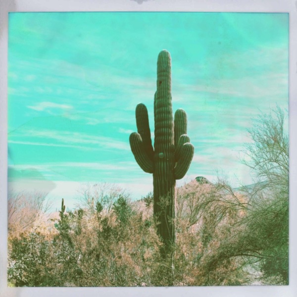 A photograph shot with the Valley of the Sun combo