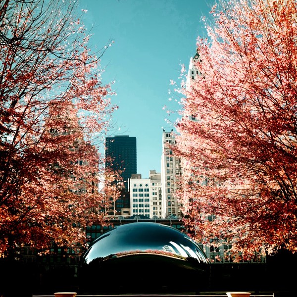 A photograph shot with the Pilsen combo