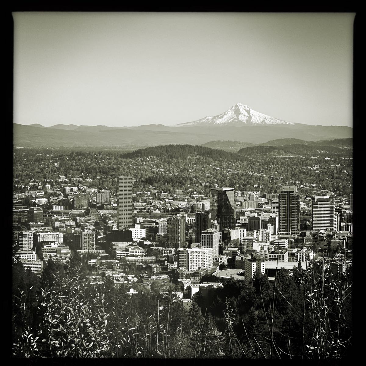 A photograph shot with the The Portland combo