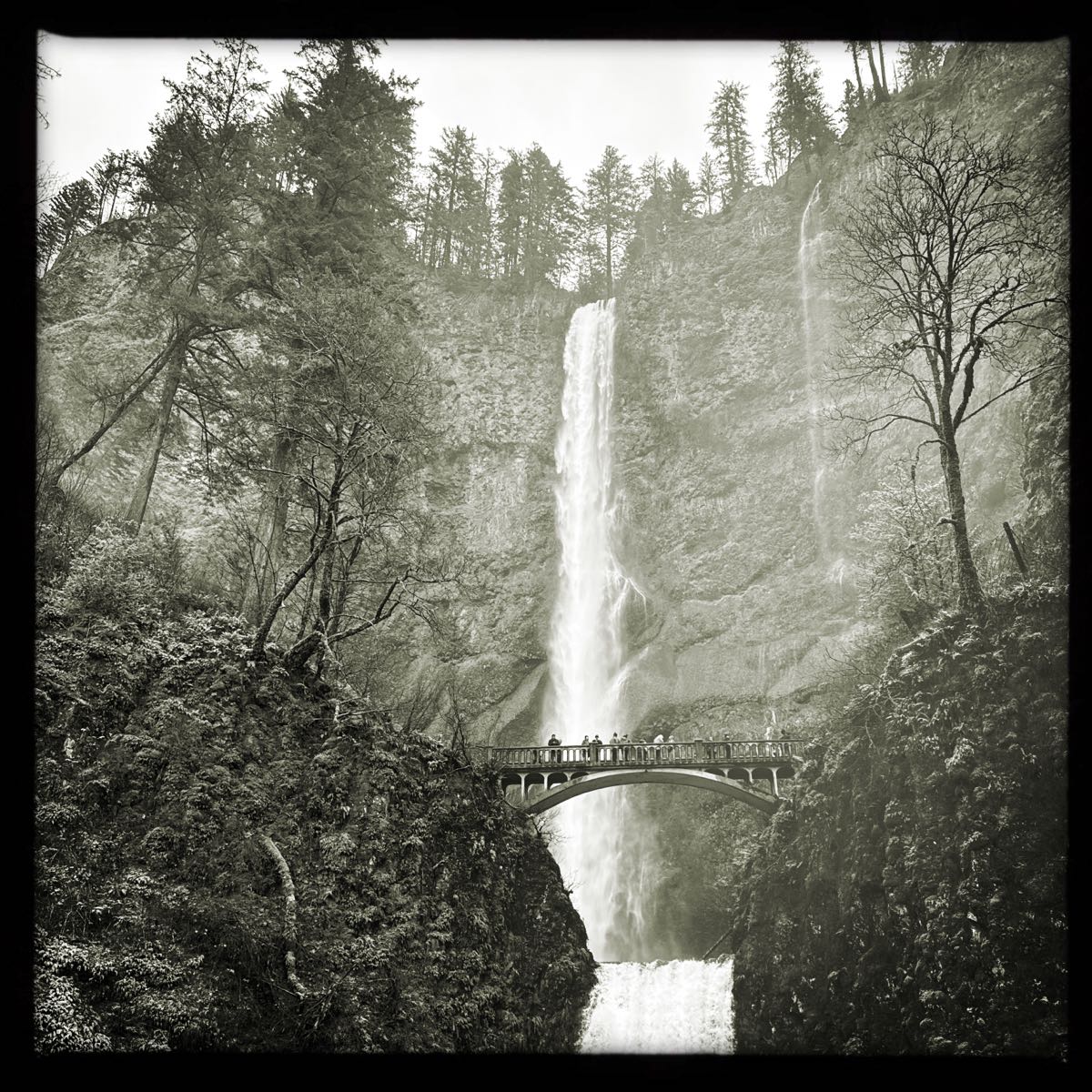 A photograph shot with the The Portland combo