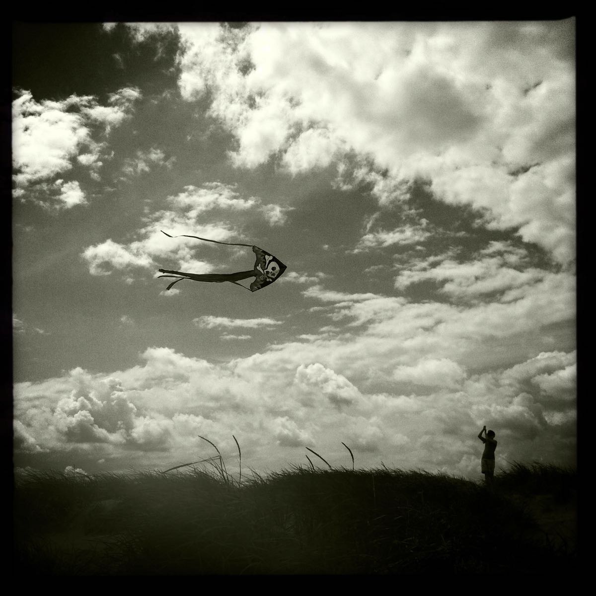 A photograph shot with the The Portland combo
