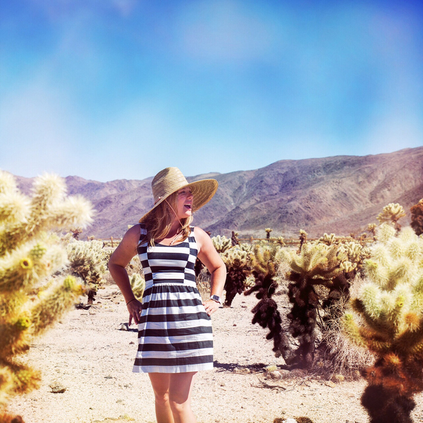 A photograph shot with the Salton Sea combo