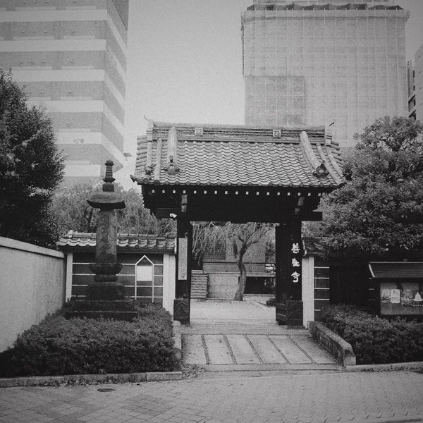 A photograph shot with the Shinjuku combo