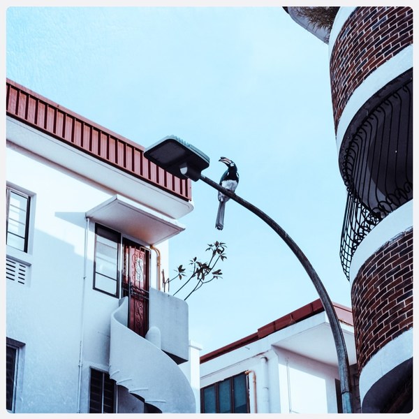 A photograph shot with the Tiong Bahru combo