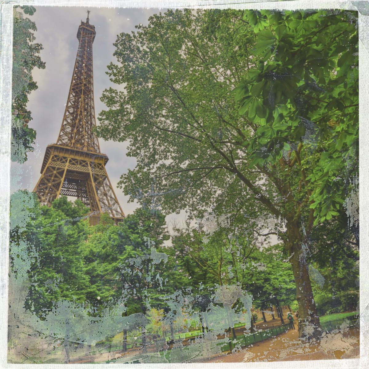 A photograph shot with the Saint-Germain combo