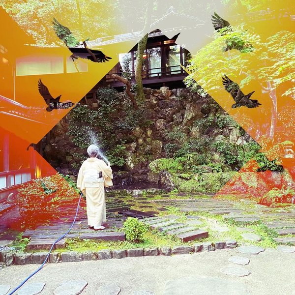 A photograph shot with the Surrealist combo