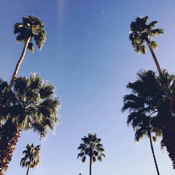 A photograph shot with the Venice combo