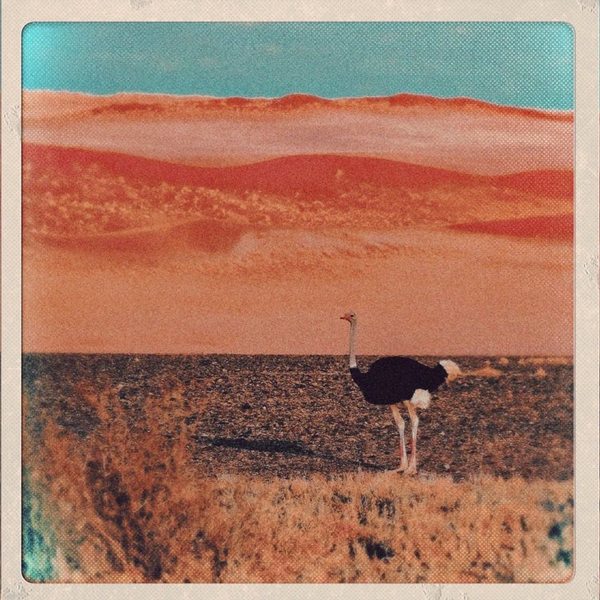 A photograph shot with the Windhoek combo