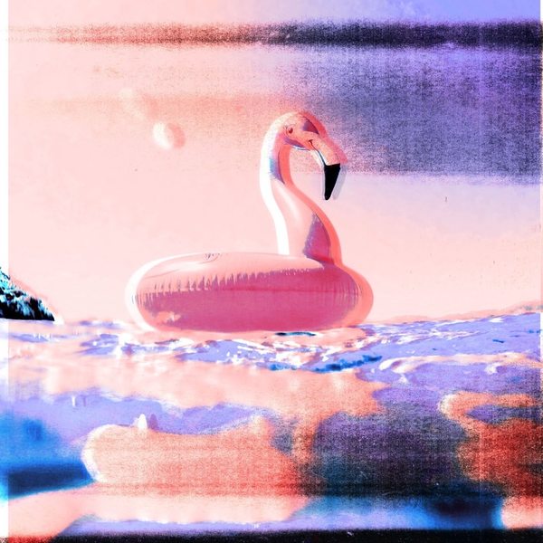 A photograph shot with the Xerography CMYK combo