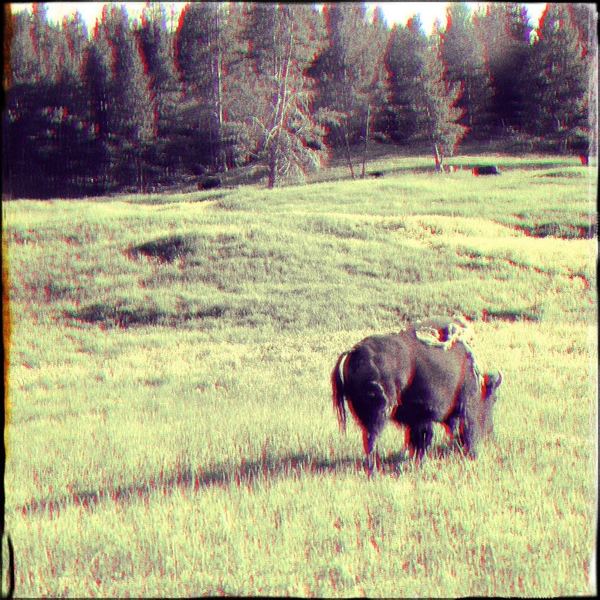 A photograph shot with the Yellowstone combo