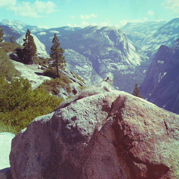 A photograph shot with the Yosemite combo