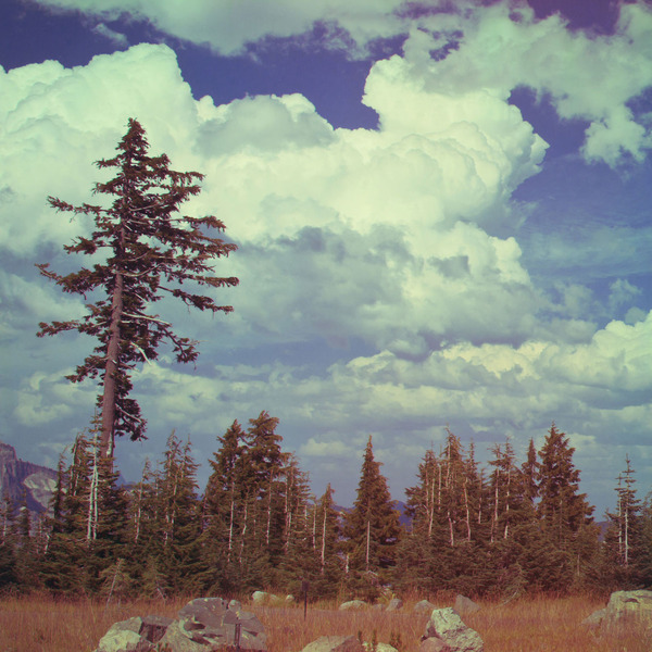 A photograph shot with the Yosemite combo